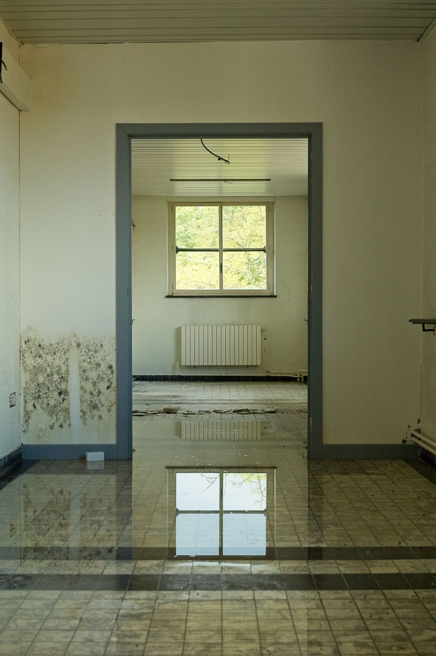 Water Damage Restoration in Mesa, Arizona