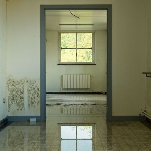 Water damage restoration