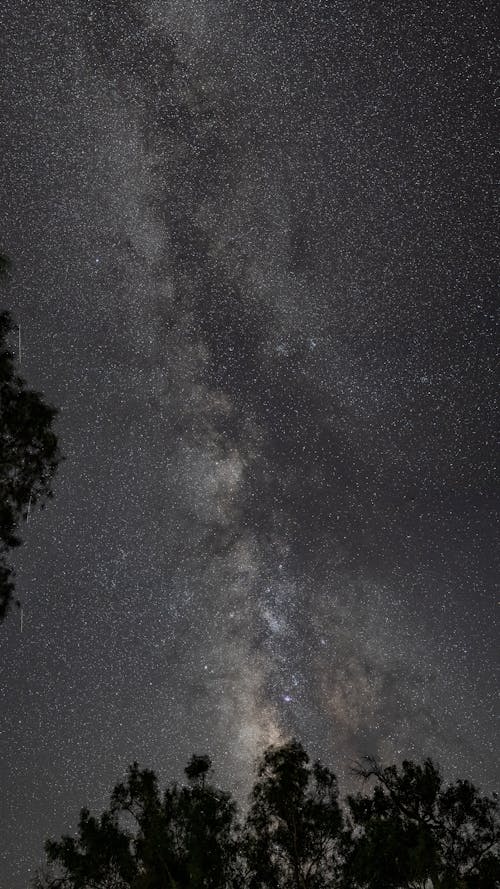 View of the Milky Way and a Starry Night Sky 