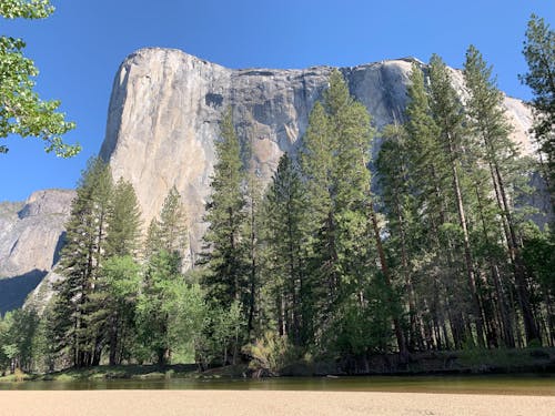 エルキャピタン, カリフォルニア, ヨセミテ国立公園の無料の写真素材