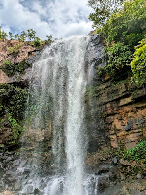 Waterfall in Nature