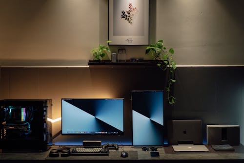 Plants on Shelf above Computer Setup on Desk next to Laptop and Printer