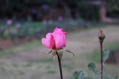 情侣空间说说甜蜜句子 情侣空间说说配图甜美