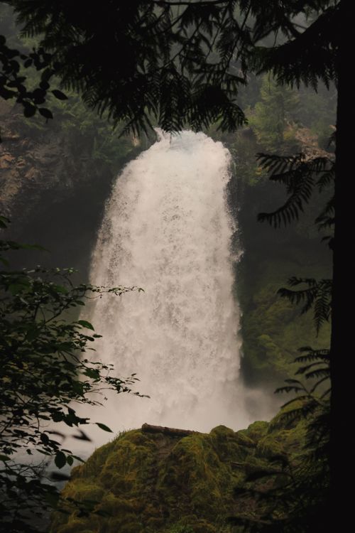 Free Majestic waterfall cascading in the dense forests of Oregon. Perfect for nature and travel themes. Stock Photo