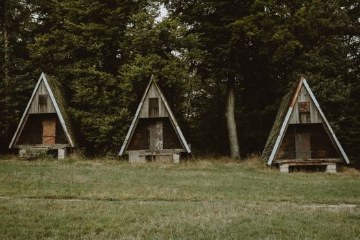 A serene scene of three rustic, abandoned cabins lined up at the edge of a lush forest.