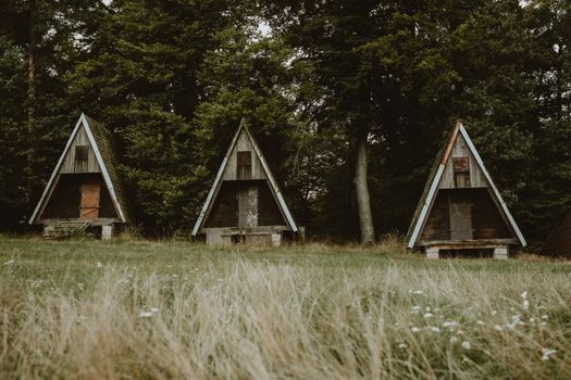Three A-frame wooden cabins nestled in a peaceful forest setting, ideal for camping or retreats.