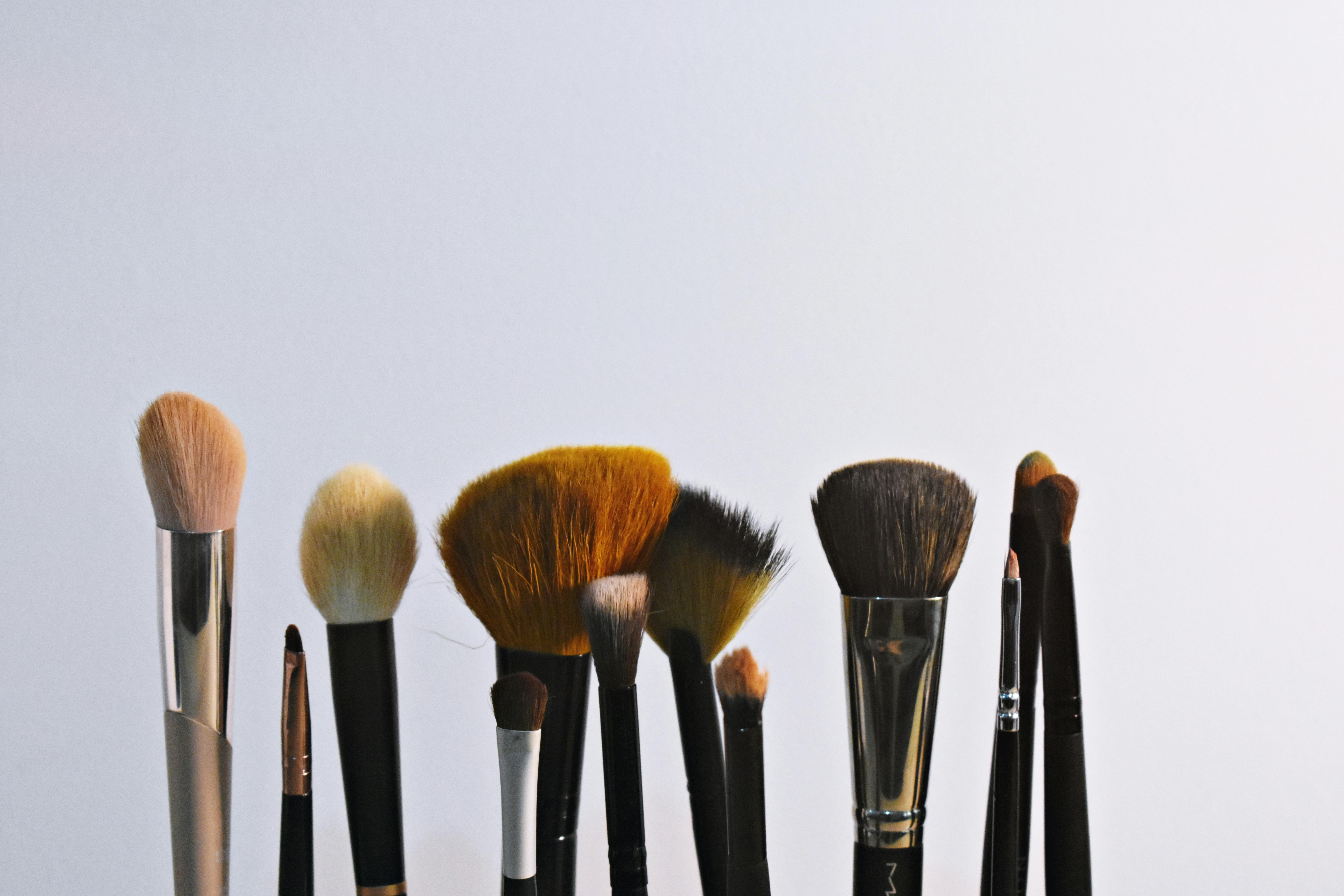 Make-up Brush Set \u00b7 Free Stock Photo