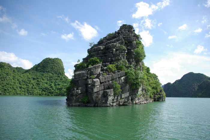 Vietnam experience