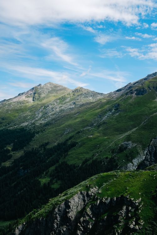 Free A stunning view of alpine mountains with lush green valleys under a clear blue sky. Stock Photo