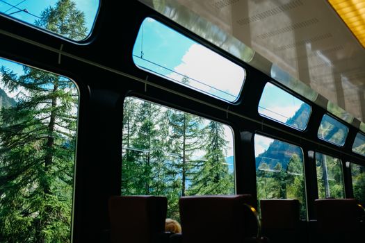 View from train window displaying stunning alpine forest landscape.