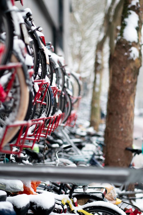 Imagine de stoc gratuită din biciclete, colegiu, elevi