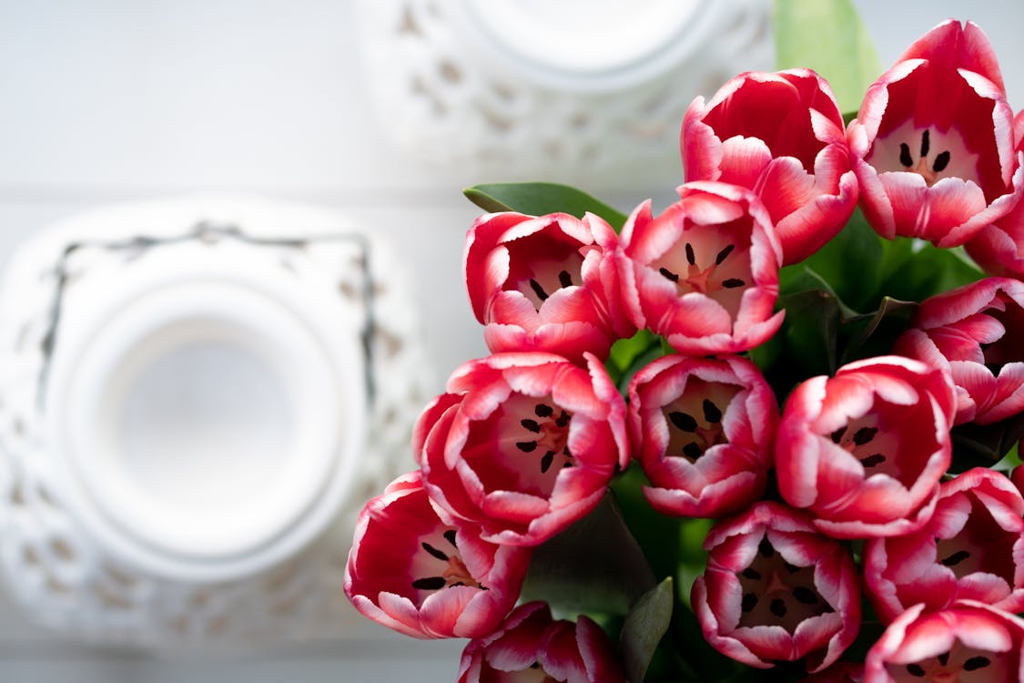 아름다운 꽃, 위에서 아래로, 테이블 탑의 무료 스톡 사진
