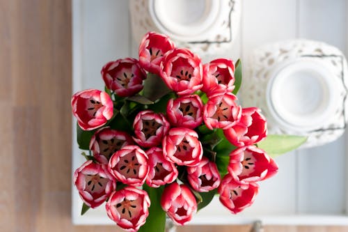 아름다운 꽃, 위에서 아래로, 테이블 탑의 무료 스톡 사진