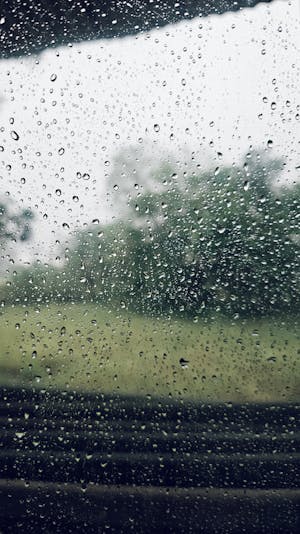 Window Rain Photos, Download The BEST Free Window Rain Stock Photos ...