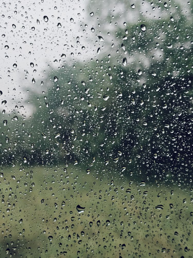 Its Raining Outside Photos, Download The BEST Free Its Raining Outside ...