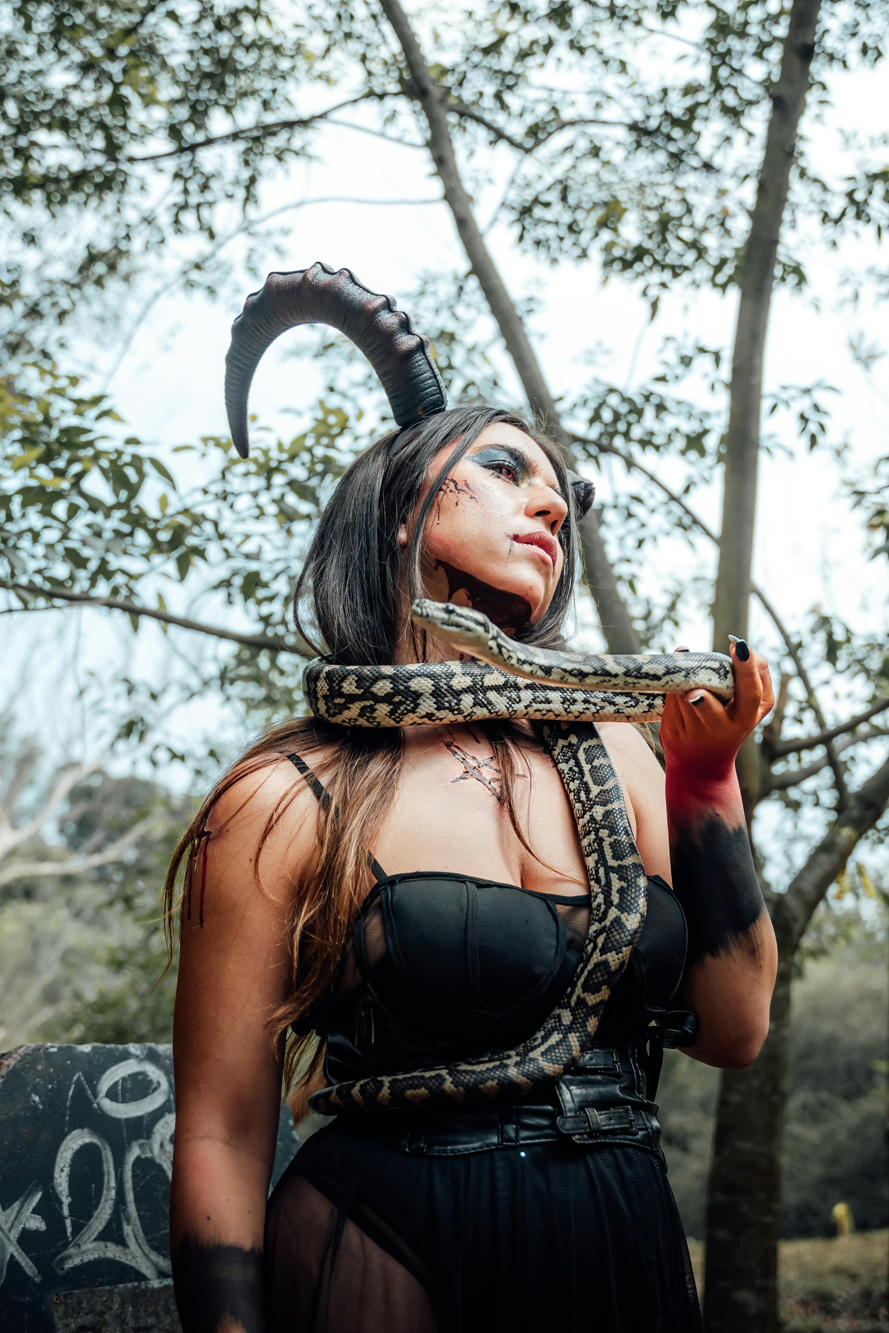 grátis Foto profissional grátis de América do Norte, animais selvagens, ao ar livre Foto profissional