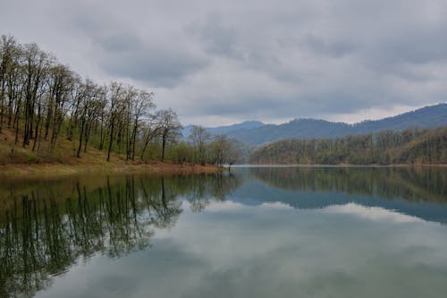 Kostenloses Stock Foto zu bäume, berge, herbst