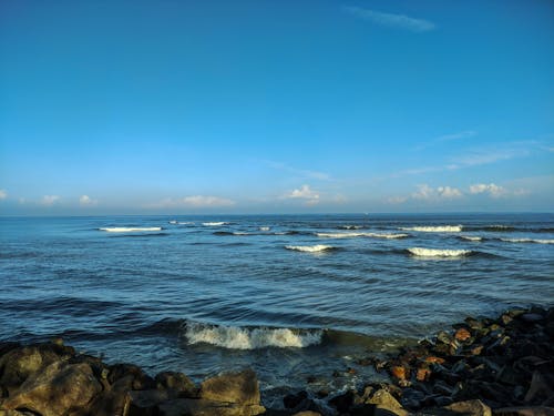 맑은 하늘, 바다, 블루의 무료 스톡 사진