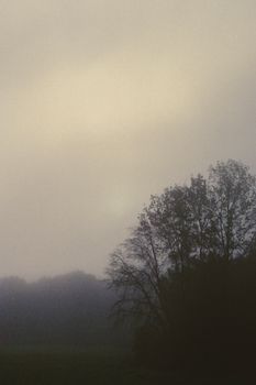 Si brouillard très dense