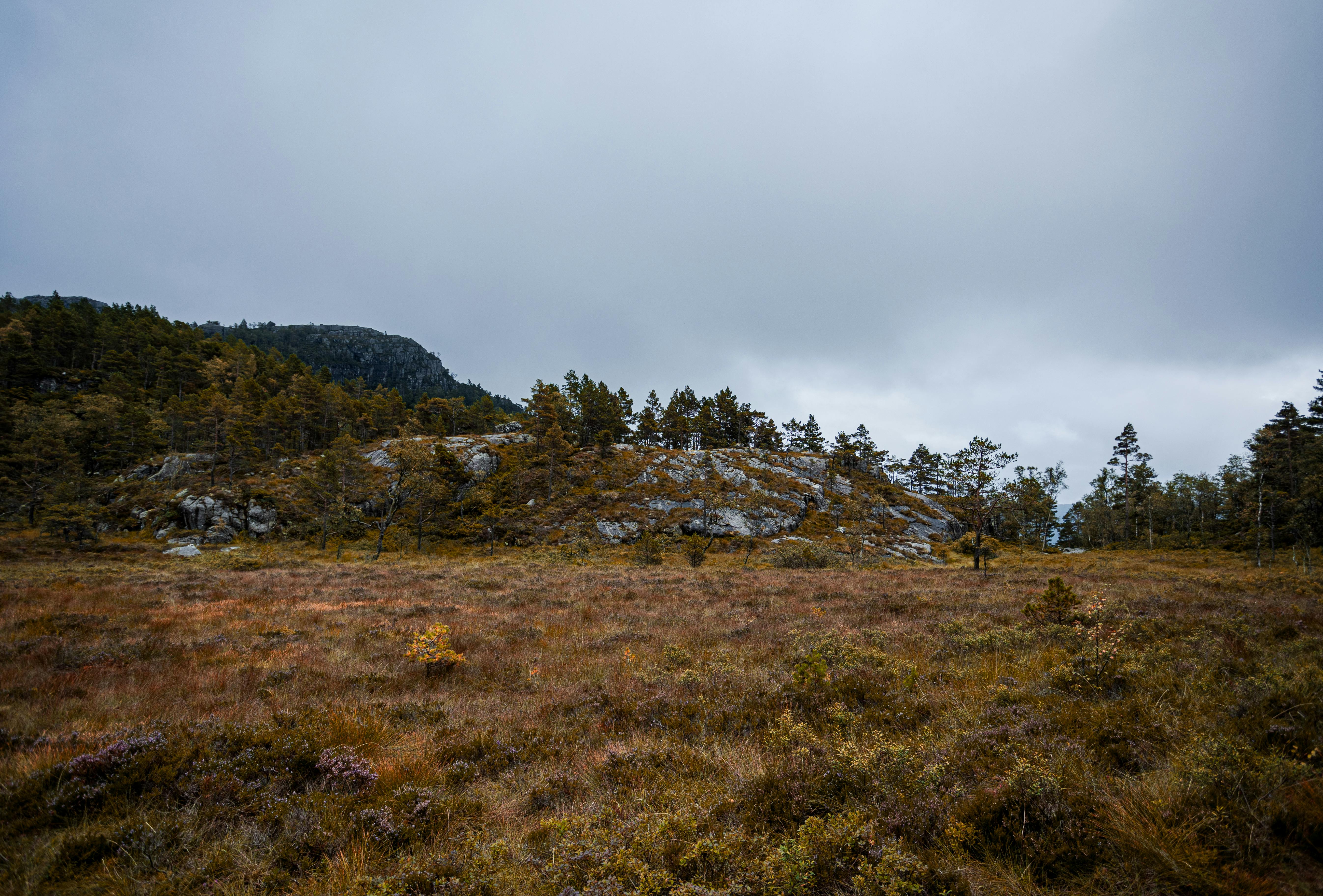 Mountain landscape in Norwegian fjord