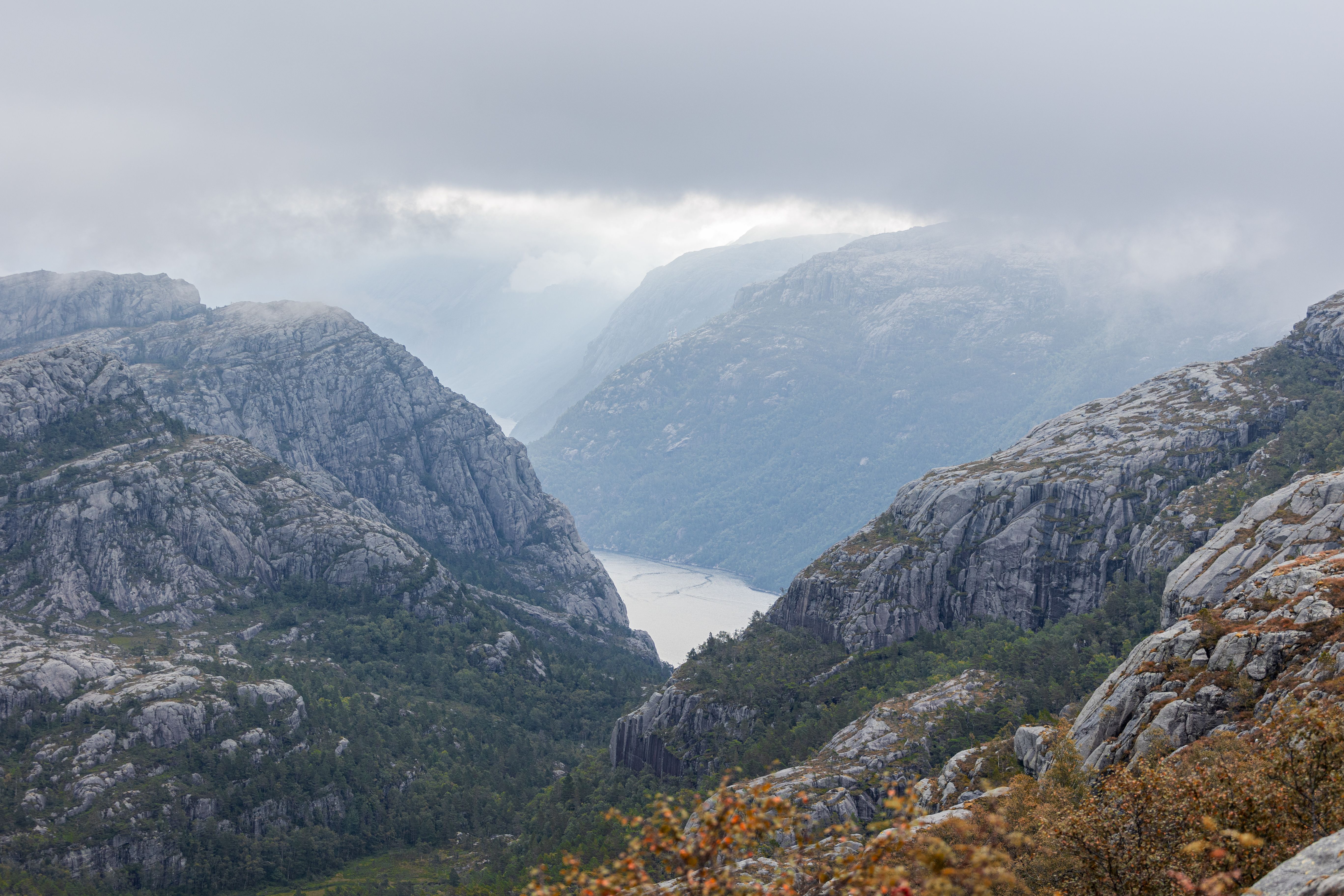 A breathtaking view of Norway's fjords, featuring lush green hills and misty clouds.