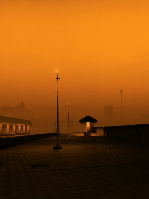 Free stock photo of early morning, early sunrise, foggy
