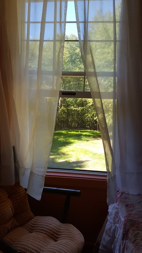 Free Photo of a Window with a Curtain, and a Park Stock Photo