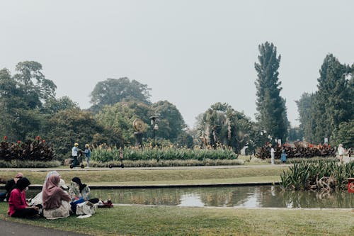 休閒, 公園, 娛樂 的 免費圖庫相片