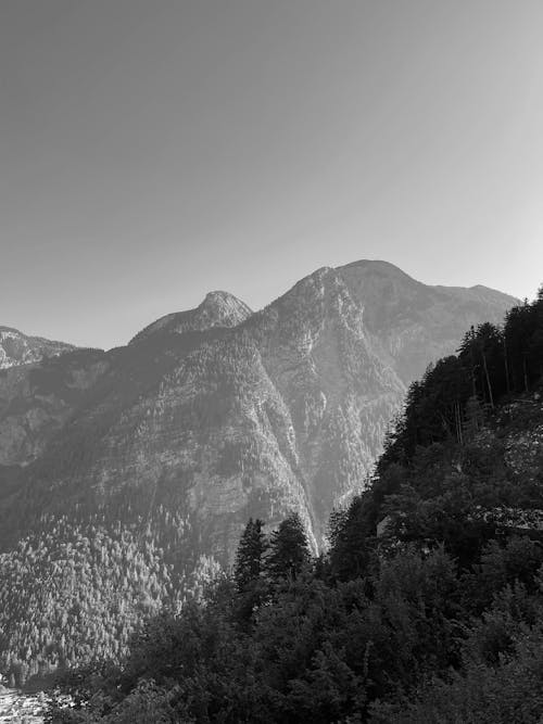 Immagine gratuita di alto, bianco e nero, maestoso