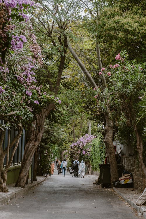 People Walking on Pavement Among Trees