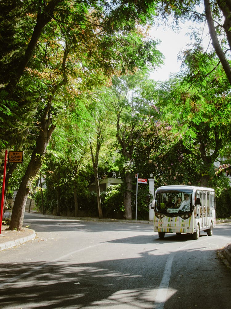 Bus On Street