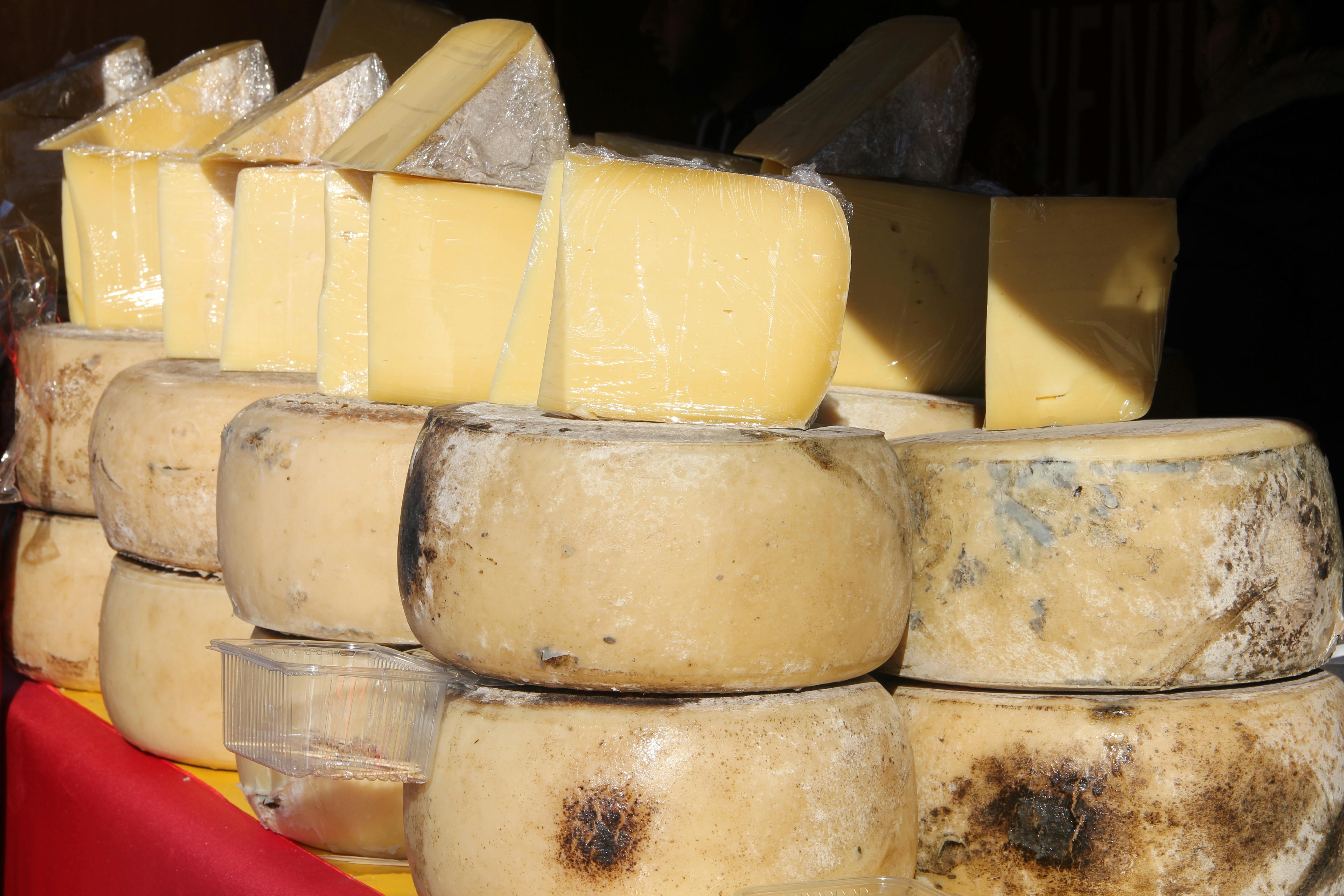 Free stock photo of Antalya, cheese, türkiye