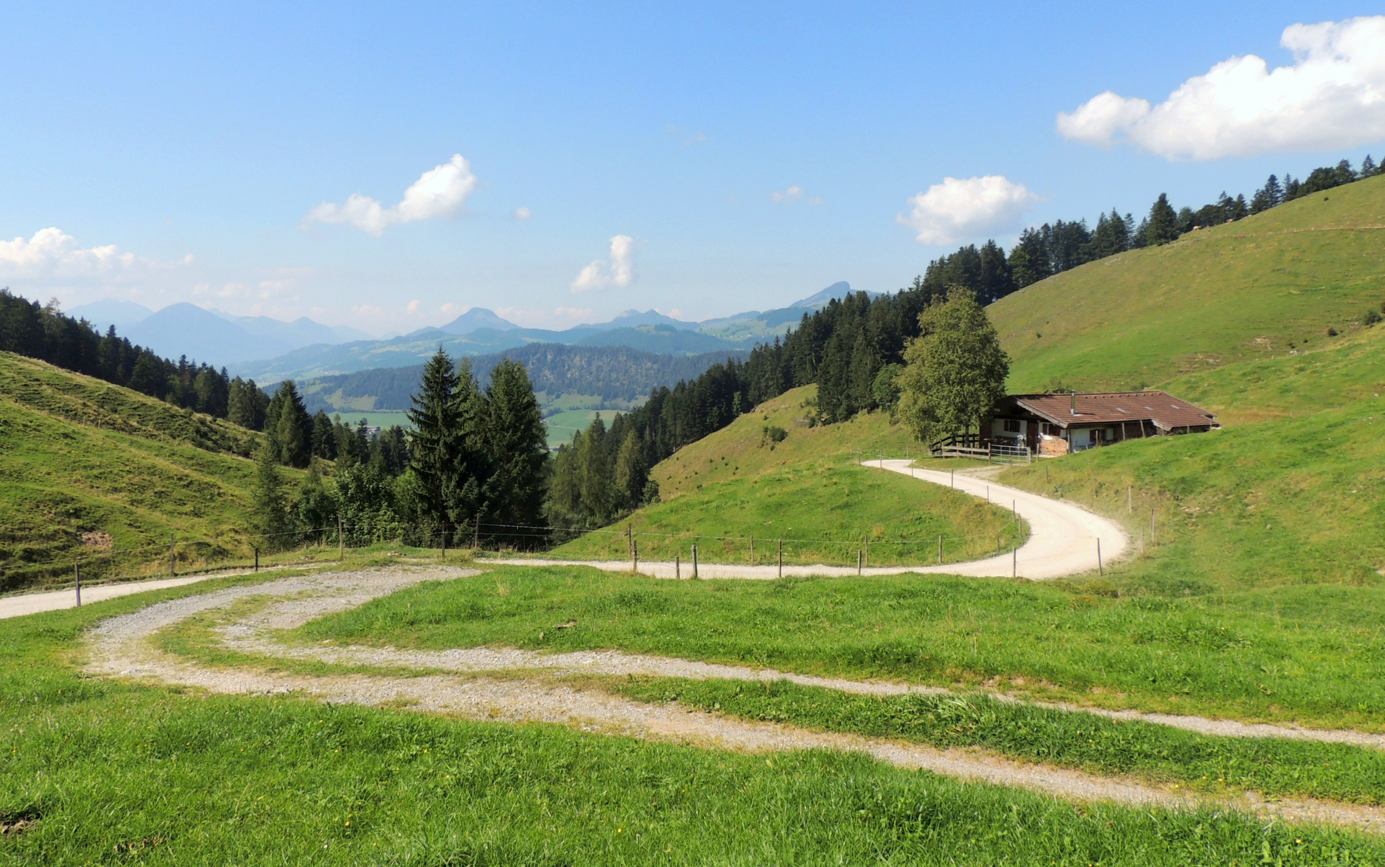 Verschlungene Wege führen zum Ziel · Free Stock Photo