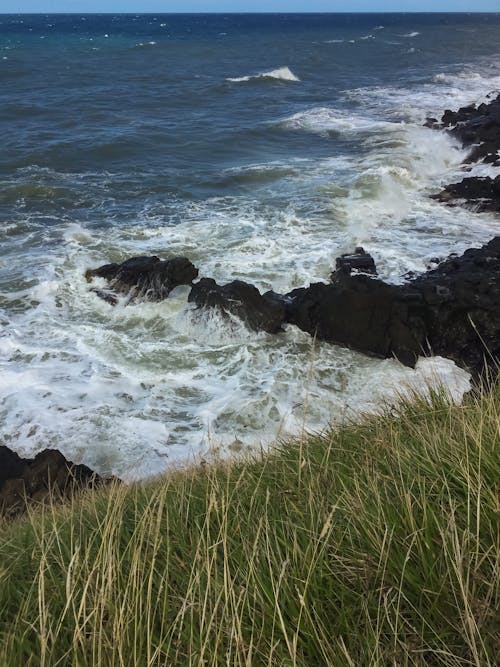 Бесплатное стоковое фото с берег, береговая линия, вертикальный выстрел