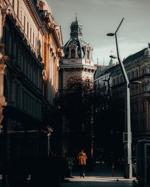 Kostenloses Stock Foto zu baum, gebäude, kirche