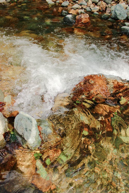 Photo of a Flowing Stream