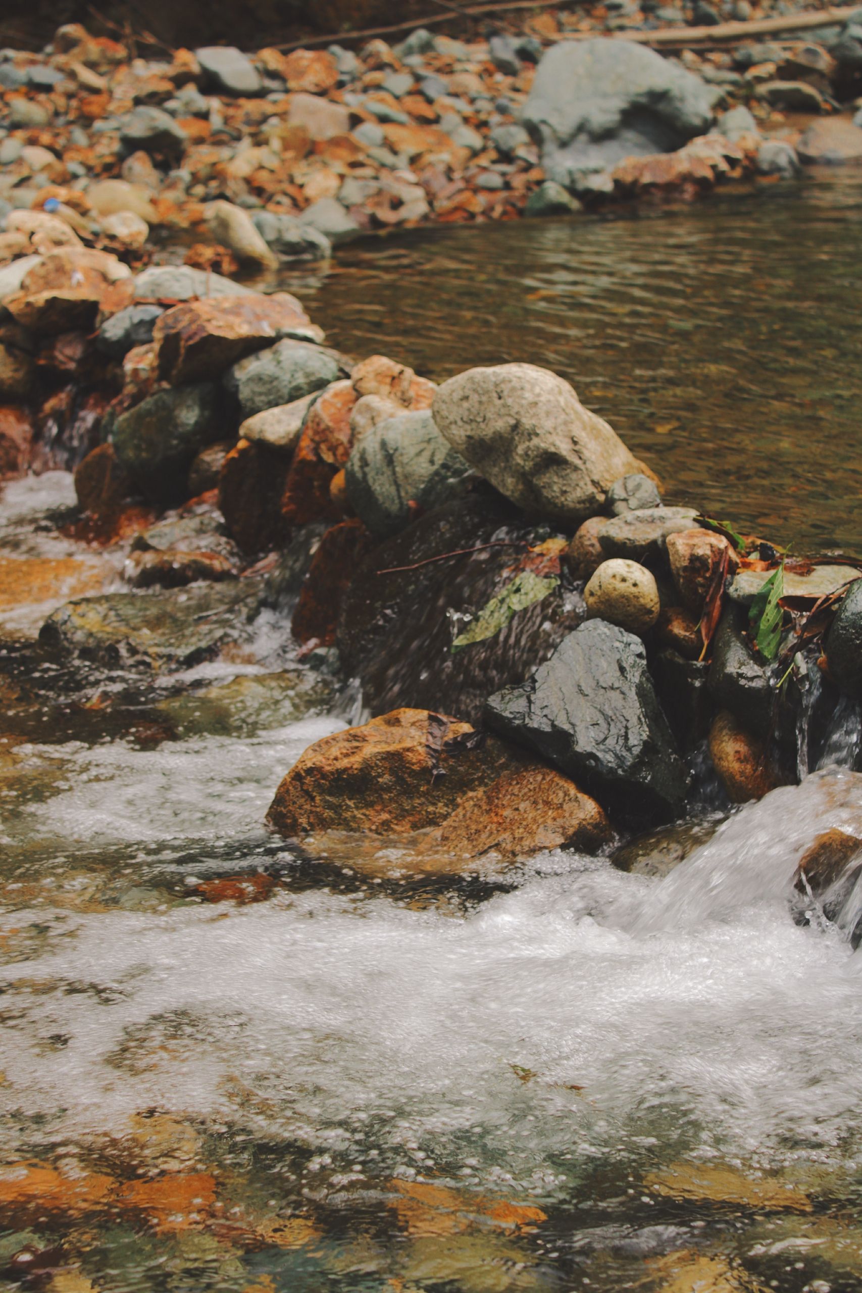 Close-up Photo of a Stream · Free Stock Photo