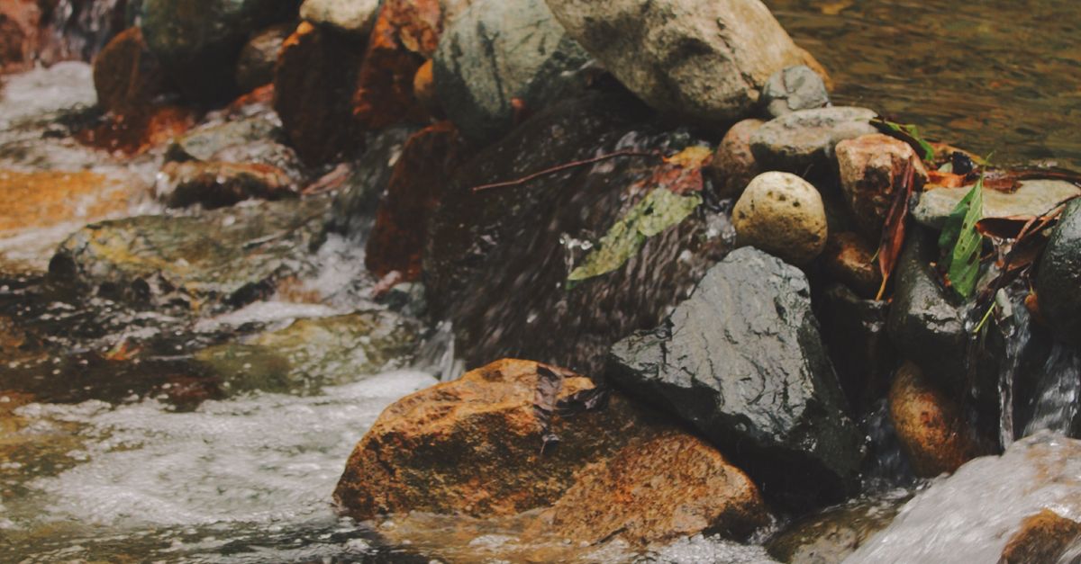 Close Up Stream Close-up Photo of a Stream · Free Stock Photo