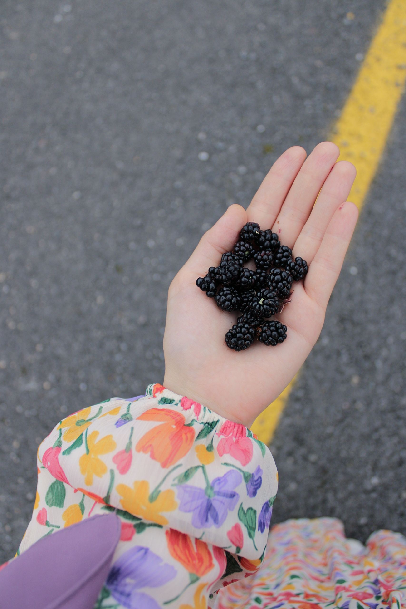 A hand with colorful sleeve holding fresh blackberries against an urban street backdrop.