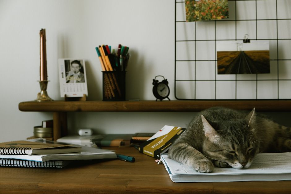 A cute cat peacefully sleeps on a cluttered desk surrounded by books and stationery.