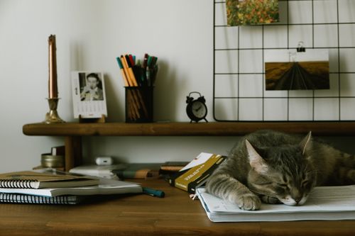 Free A cute cat peacefully sleeps on a cluttered desk surrounded by books and stationery. Stock Photo