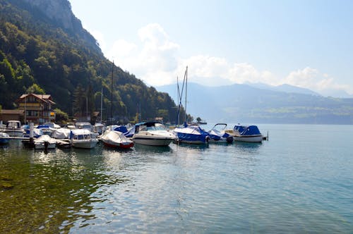 Motorboats Moored on Lakeshore