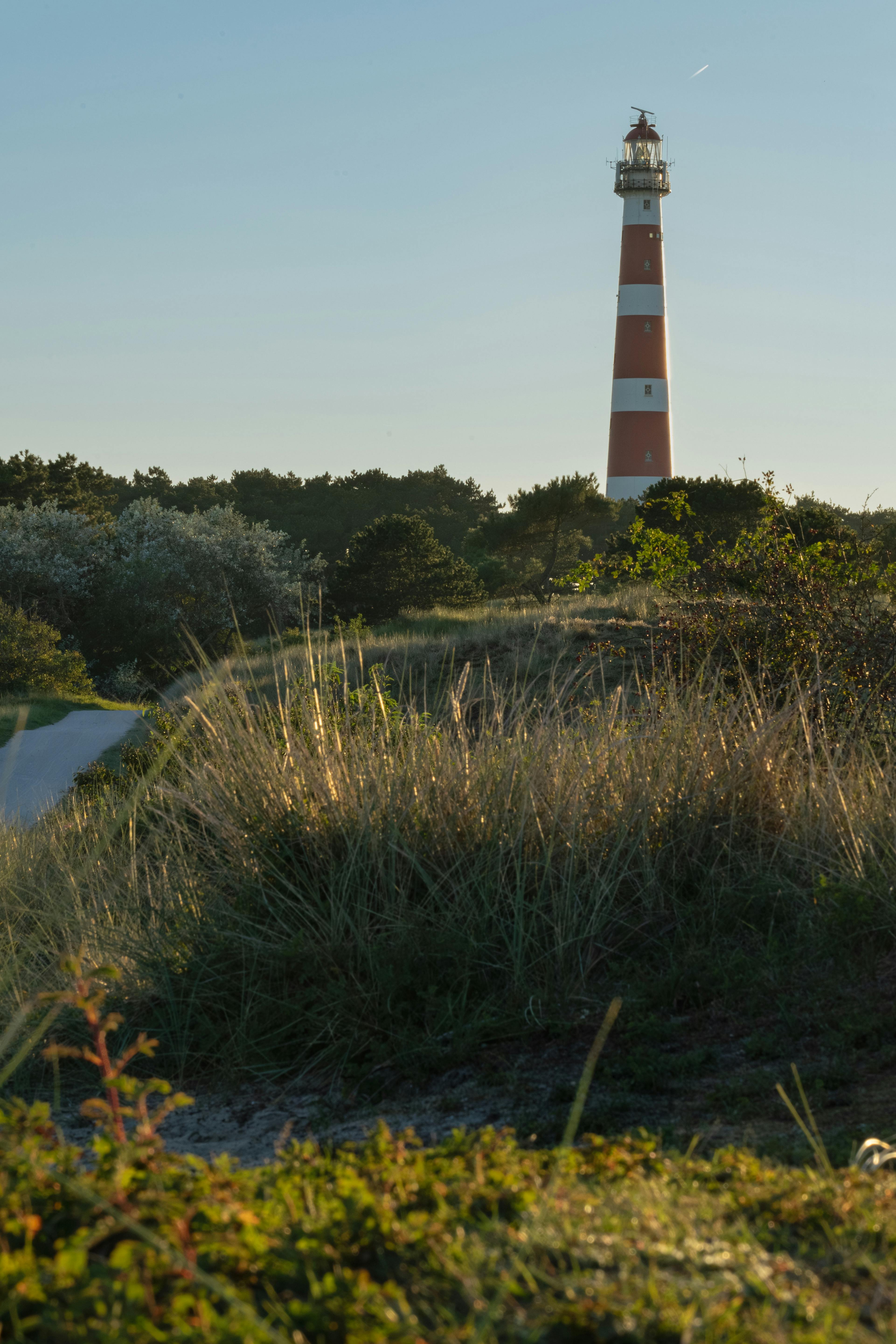 Ameland travel photo 1