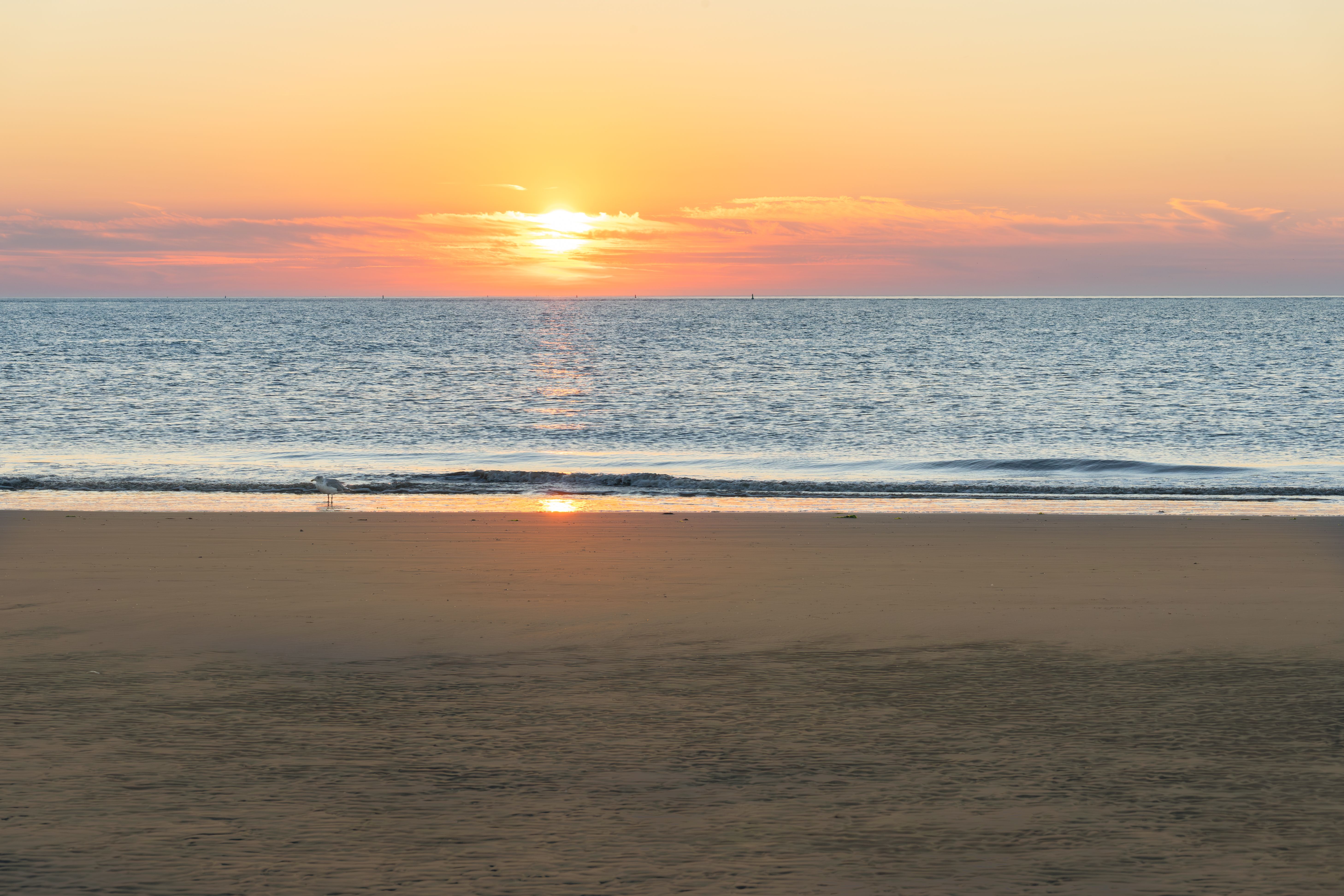 Sunrise Over the Ocean · Free Stock Photo