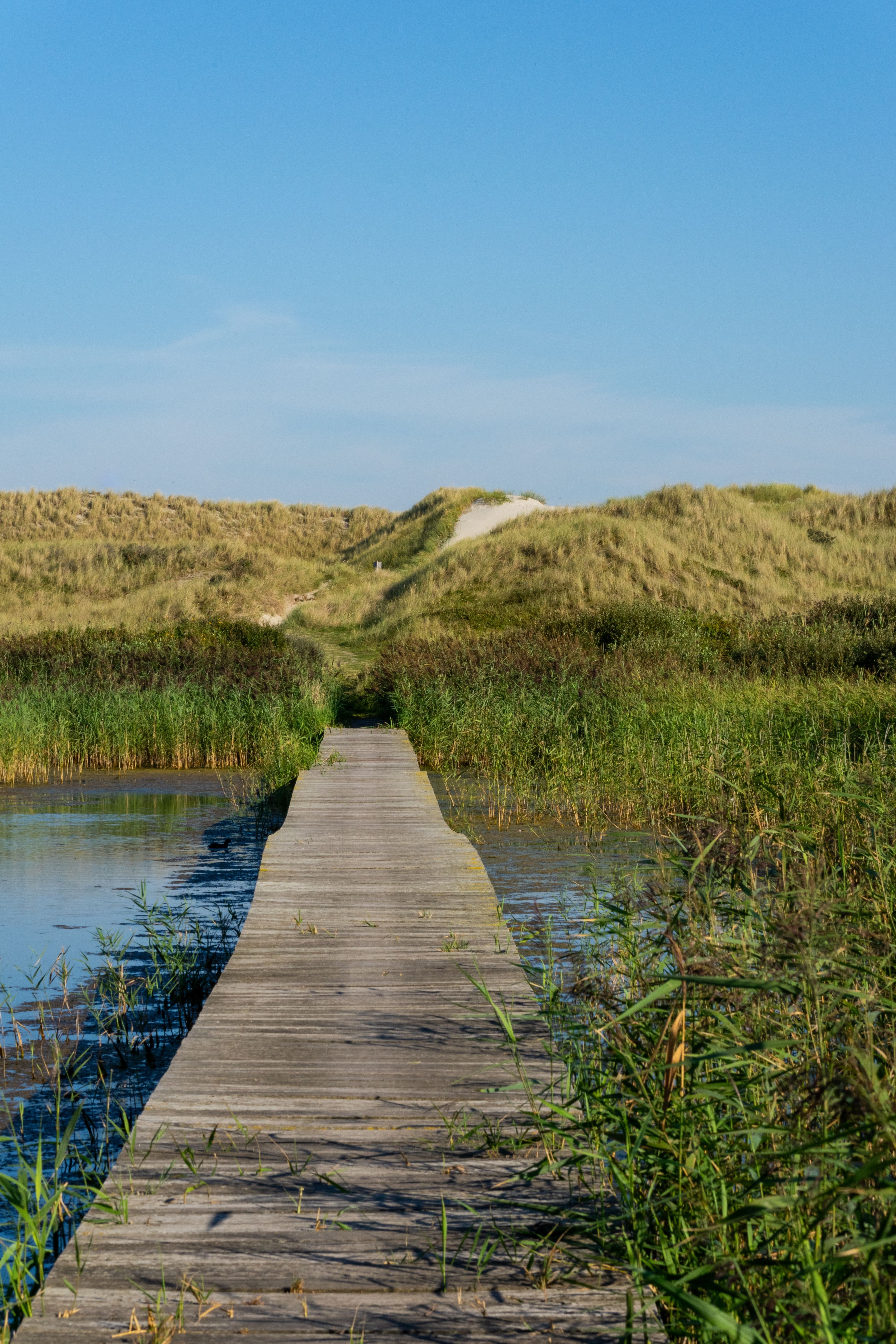 Wooden Footbridge without Handrails over River · Free Stock Photo