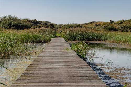 Boardwalk Stretching across a Lake