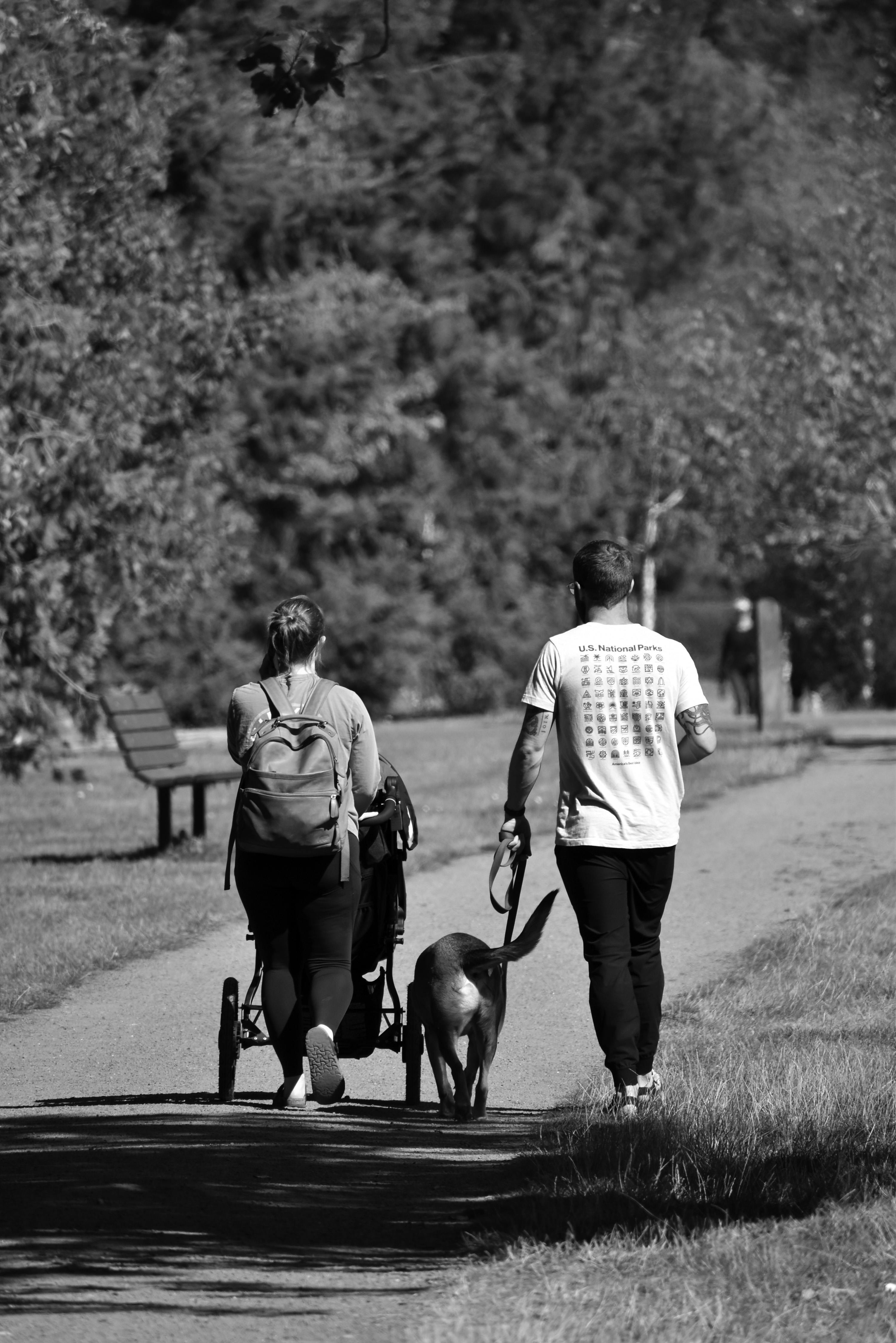 Couple with Dog and Stroller Walking in Park