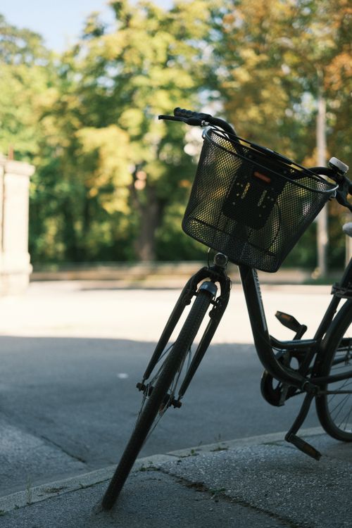 Free Bicycle with basket parked on Innsbruck street against lush trees in a sunny day. Stock Photo