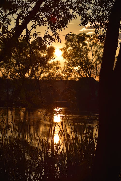 Fotobanka s bezplatnými fotkami na tému 4k, fotka, foto