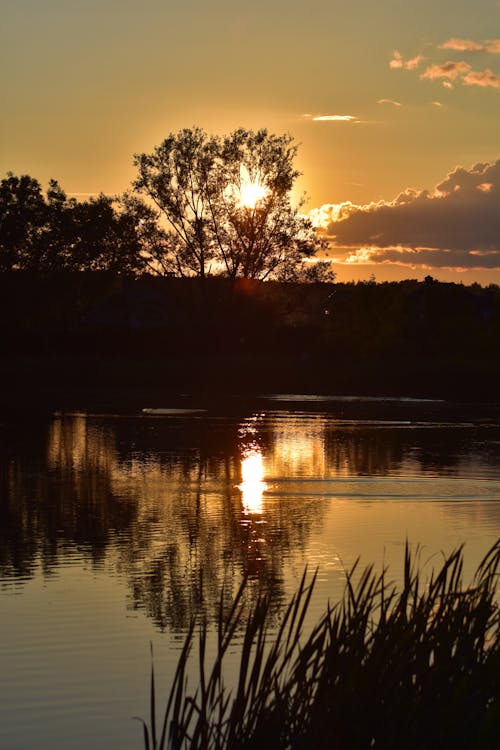 Fotobanka s bezplatnými fotkami na tému 4k, fotka, foto